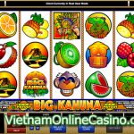 Big Kahuna Slot