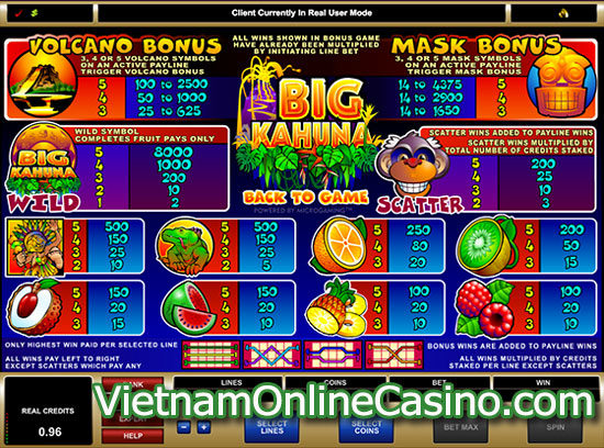 Big Kahuna Slot - Payline