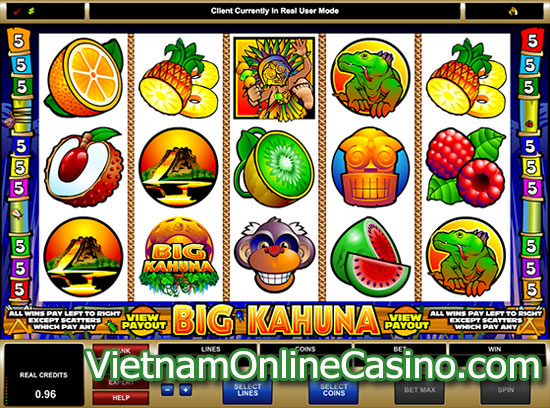 Big Kahuna Slot