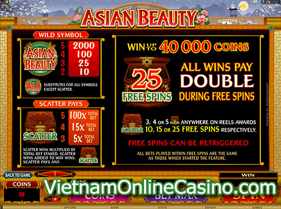 Asian Beauty Slot - Payline