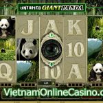 Untamed Giant Panda Slot